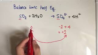 Balance ionic half equation oxidation [upl. by Warden191]