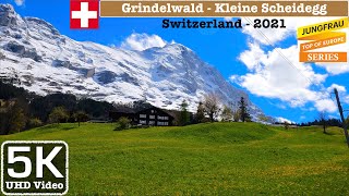 Grindelwald  Kleine Scheidegg Switzerland Train Journey Jungfraujoch Series  5K UHD Video [upl. by Benoite632]