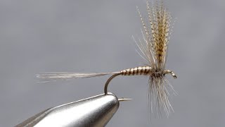 Quill Gordon Dry Fly [upl. by Kier558]