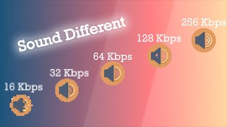 16 vs 32 vs 64 vs 128 vs 256 KBPS MUSIC COMPARISON  SOUND QUALITY DIFFERENCE BETWEEN 2024 [upl. by Takeshi]