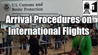 What is the Arrival Procedure on an International Flight [upl. by Vig]