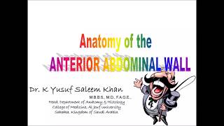 Anatomy  ANTERIOR ABDOMINAL WALL  Part 1  Dr Yusuf [upl. by Cryan]