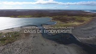 Terres et mers australes françaises  Le film [upl. by Eittak]