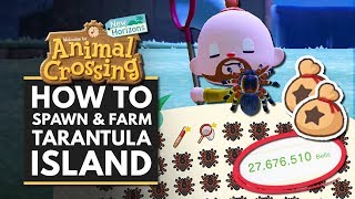 Animal Crossing New Horizons  How to Spawn amp Farm TARANTULA Island for Easy Bells [upl. by Naiviv]