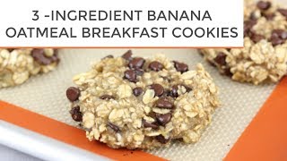 3INGREDIENT BANANA OATMEAL BREAKFAST COOKIES [upl. by Jeno859]