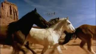 Horses Neighing  Horse Sounds  Horses Galloping [upl. by Tips370]