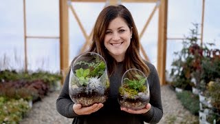 How to Make A Terrarium Full Version  Garden Answer [upl. by Falcone]