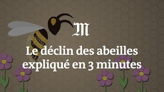 Le déclin des abeilles expliqué en 3 minutes [upl. by Mullane]