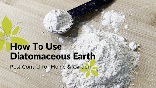 How To Use Diatomaceous Earth  Home amp Garden Pest Control [upl. by Peddada]