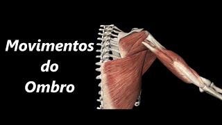 Movimentos do Ombro em 3D [upl. by Tiena1]