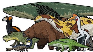 PREHISTORIC LIFE  Animated Size Comparison [upl. by Anawahs]