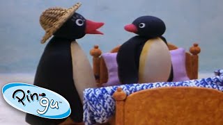 Pingu and Pinga Dont Want to Go to Bed  Pingu Official  1 Hour  Cartoons for Kids [upl. by Jahncke]