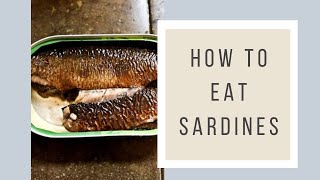 How To Eat Sardines [upl. by Damahom84]