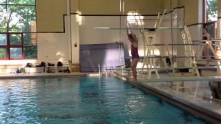 Teach a Flip for Springboard Diving [upl. by Urdna]