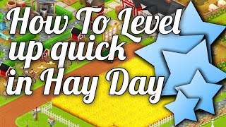 ⬆️ How to level up in Hay Day  Hay Day Guide [upl. by Enom]