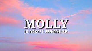 Lil Dicky  Molly Lyrics Ft Brendon Urie [upl. by Monti]