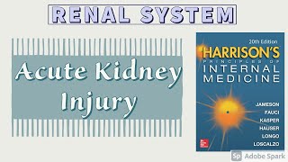 Acute Kidney Injury  Part 1 of 2  Etiology  Pathogenesis  Harrison [upl. by Airitak]