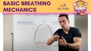 Basic Breathing Mechanics [upl. by Wulf]