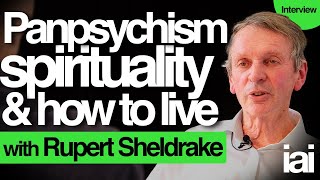 Panpsychism spirituality and consciousness  Rupert Sheldrake [upl. by Francklyn]