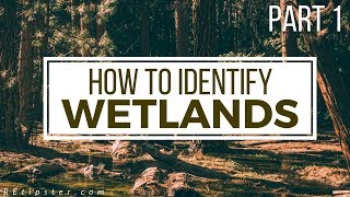 How to Identify and Avoid Wetlands  Part 1 [upl. by Chrissie399]