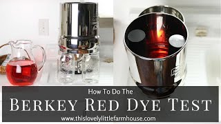 How To Test Your Berkey Water Filter  BERKEY RED DYE TEST [upl. by Kendricks305]