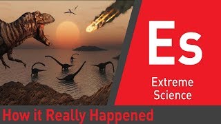 How Asteroids Really Killed The Dinosaurs  Part 1  Last Days of the Dinosaurs [upl. by Hayikat238]