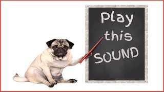 Sound To Make Your Dog Come To You 100 GUARANTEED [upl. by Woermer]