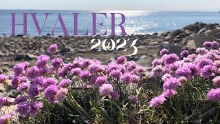 Hvaler  Norway 2023 [upl. by Joy]