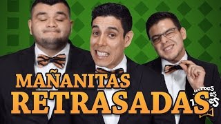 Mañanitas retrasadas  Los Tres Tristes Tigres [upl. by Akerdal]