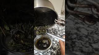 चिरायता का काढ़ा और पाउडर कैसे इस्तेमाल करें homemade decoction immunityboosterskincare chirata [upl. by Aramal]