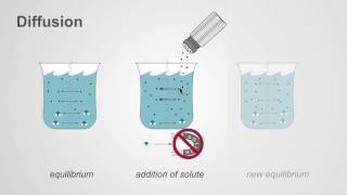 The difference between osmosis and diffusion [upl. by Aldis909]