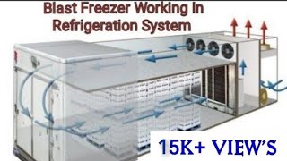 Blast Freezer  How Its Work [upl. by Anailuj]