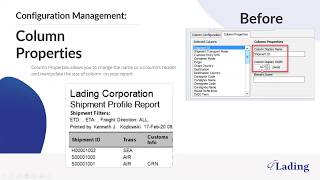 Custom CargoWise Reports [upl. by Oster]