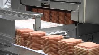 How Ground Beef and Hamburgers are Made [upl. by Reffinej845]