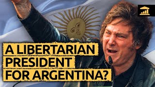 The Libertarian Plan for Argentina  VisualPolitik EN [upl. by Aetnahs]