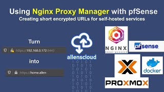 Using Nginx Proxy Manager with pfSense Proxmox and Docker [upl. by Aggarwal341]