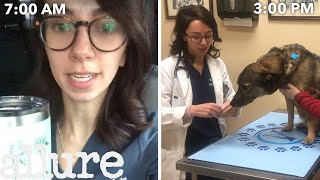 A Veterinarians Entire Routine from Waking Up to Treating Pets  Allure [upl. by Horsey]