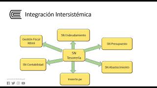 el sistema nacional de tesoreria [upl. by Harday847]