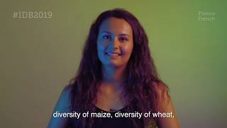 CIMMYT dedicated to diversity [upl. by Autry]