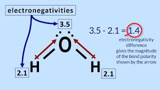 Polar Molecules Tutorial How to determine polarity in a molecule [upl. by Lidda]