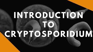 Introduction to Cryptosporidium [upl. by Aicnelav]