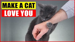 10 Scientific Ways to Get a Cat to Like You [upl. by Love600]