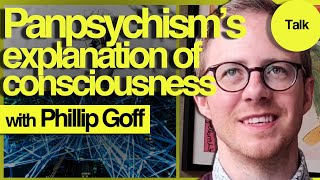 How Panpsychism Explains Consciousness  Phillip Goff [upl. by Airekal]