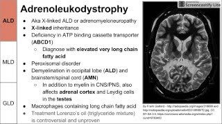 Leukodystrophies ALD MLD and GLD [upl. by Olfe]