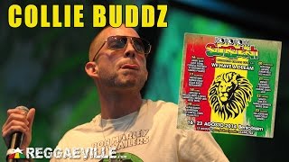 Collie Buddz  Come Around  Rototom Sunsplash 2014 8172014 [upl. by Inalial]