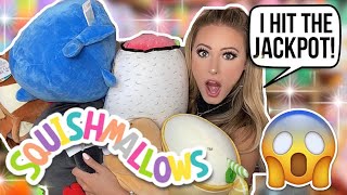 Squishmallows Collection Showcase [upl. by Eneleoj]