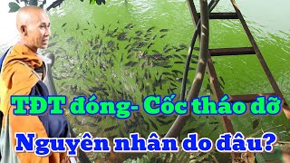 TĐT ĐÓNG  CỐC BUỘC THÁO DỠ NGUYÊN NHÂN DO ĐÂU [upl. by Thirion]