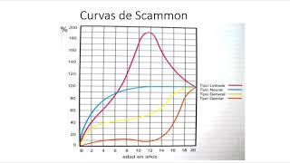 Crecimiento diferencial Parte 3 CRECIMIENTO Y DESARROLLO CRANEOFACIAL [upl. by Anitnemelc306]