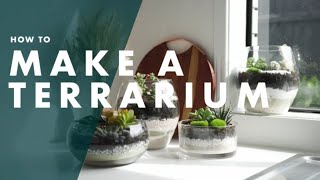 How To Make A Terrarium  Bunnings Warehouse [upl. by Orat]