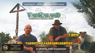 VADKALAND 2rész  Vaddisznó vadkárelhárítás Englishlanguage version of in the description [upl. by Natsirhc325]